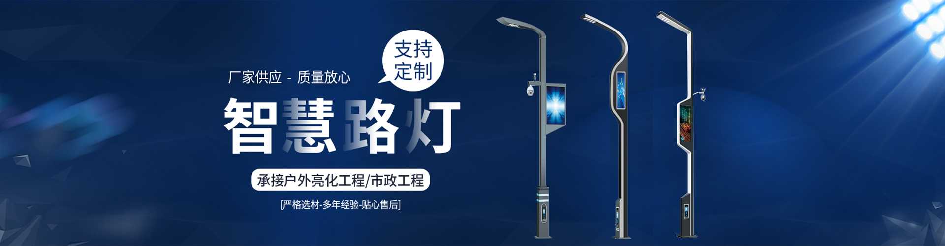 廉江市太阳能路灯定制厂家