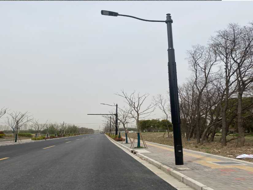 廉江市上海综合杆 太阳能路灯工程